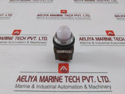 Idec Apn Pilot Lamp Indicator 400/440V