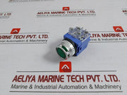 Illuminated Push Button Switch Ac 24v Yongsung Ysnpbl3-024a