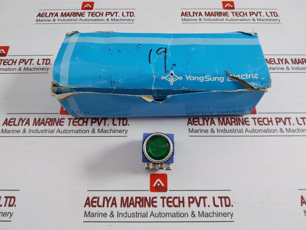 Illuminated Push Button Switch Ac 24v Yongsung Ysnpbl3-024a