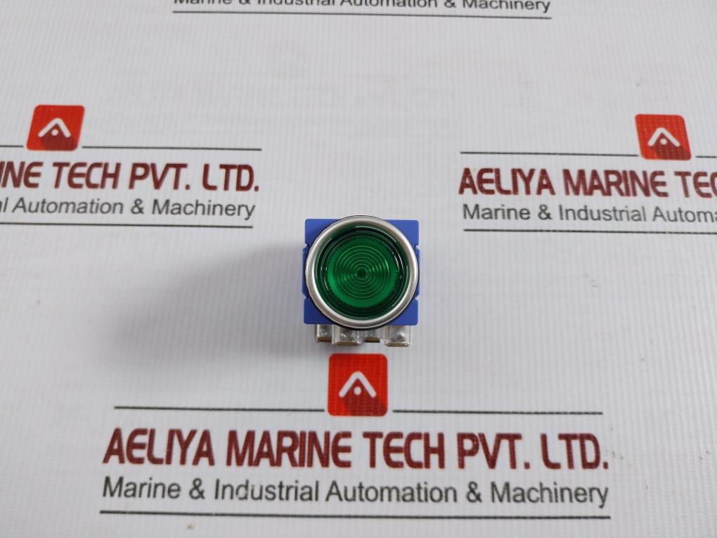 Illuminated Push Button Switch Ac 24v Yongsung Ysnpbl3-024a