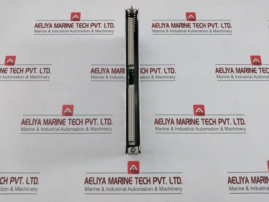 Input/Output Module Bently Nevada 125800-01