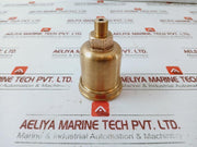 Iron Pump 115857114 Bronze Wick Lubricator 