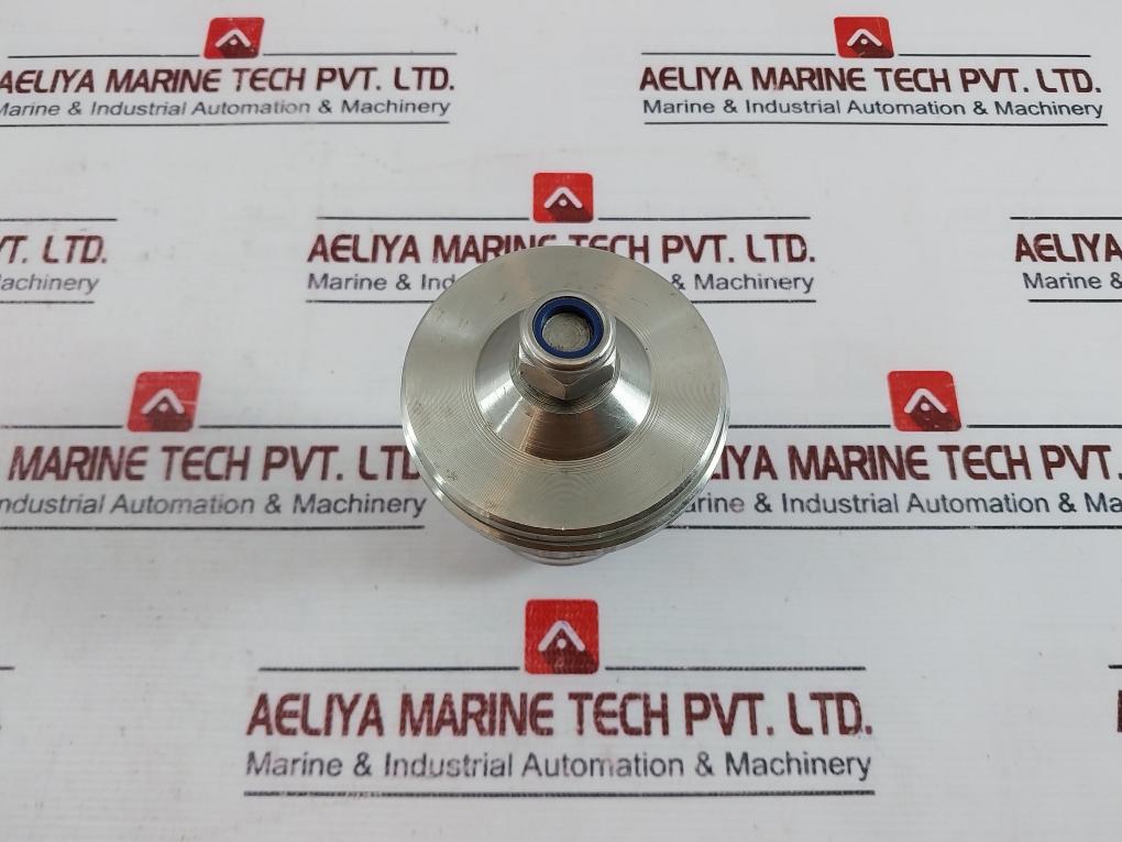 Iron T54250S23 Suction Valve Pos 42-50