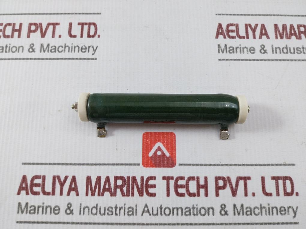 Iwaki Rwh40G Tube Resistor 10ΩJ