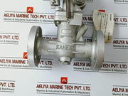 Kaneko Dn20 Electromagnetic Valve 0-1.6 Mpa Dc24V