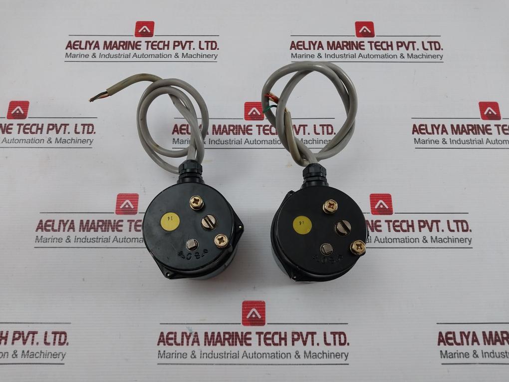 Kitz Valve Actuator Supply-Single-Phase 200v 50/60hz Ea200-2
