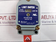 Koino Kh-8010-sl Limit Switch 125Vac 10A 250Vac 6A 30Vdc 6A
