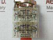 Koncar 1Tp 22 Control Switch 660V~ 10A