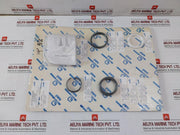 Ksb 42099987 Shaft Sealing Kit Danais O-ring 62,87 X 5,33.