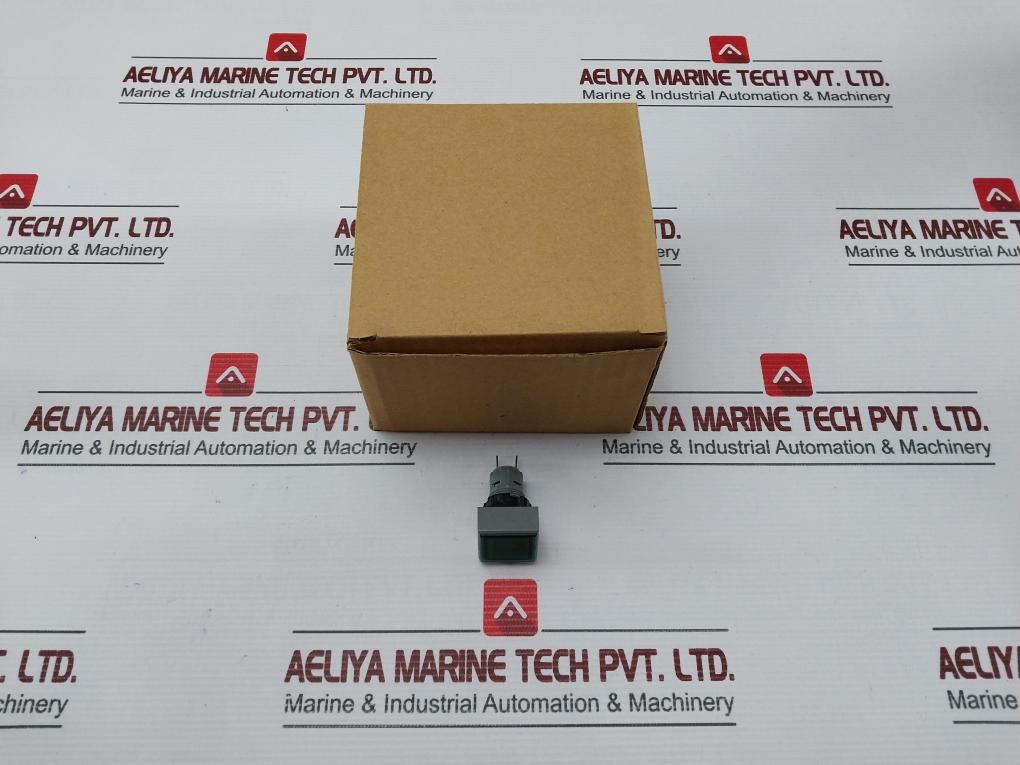 L5. 250V 2W Pushbutton Switch