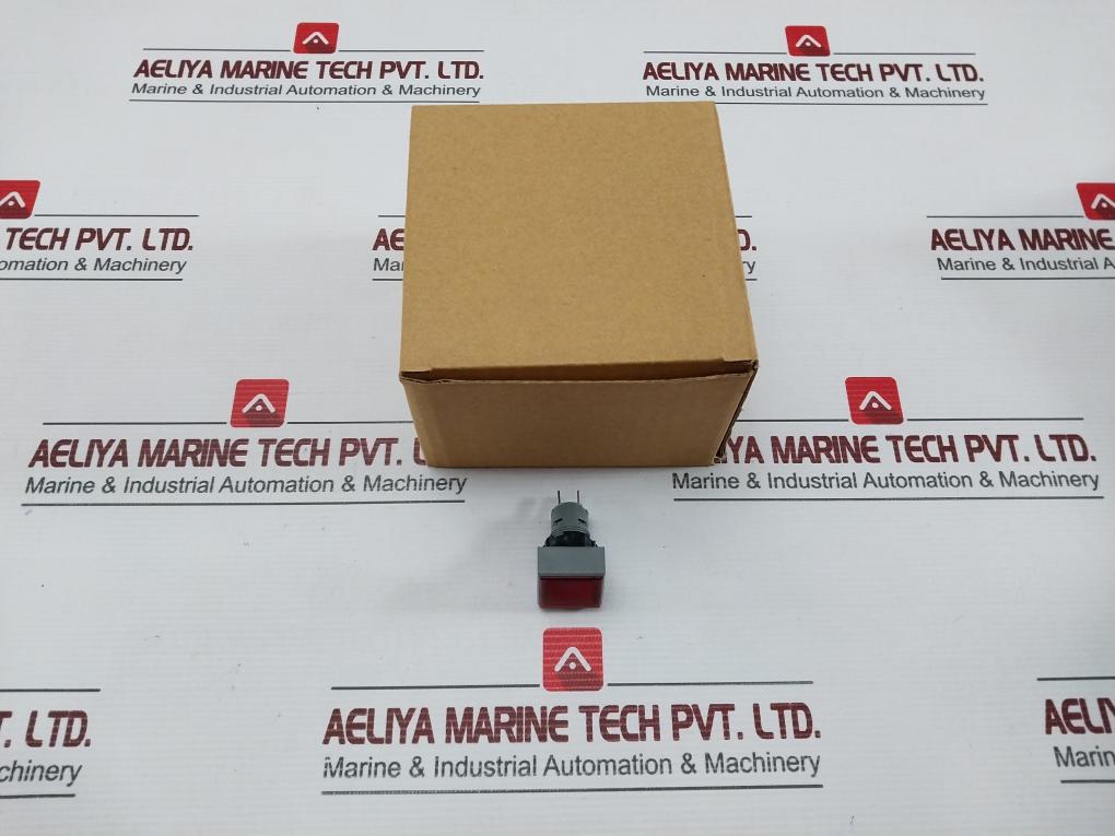 L5. 250V 2W Pushbutton Switch