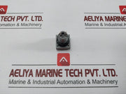 L5. 250V 2W Pushbutton Switch