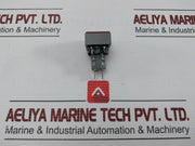 L5. 250V 2W Pushbutton Switch