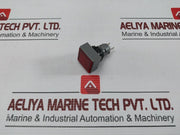 L5. 250V 2W Pushbutton Switch