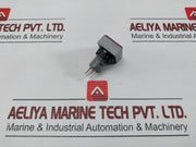 L5. 250V 2W Pushbutton Switch