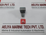 L5. 250V 2W Pushbutton Switch
