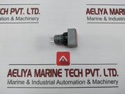 L5. 250V 2W Pushbutton Switch