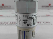 Stahl Led Pilot Light Set 10,8 V... 28v Ac/Dc 8013/321