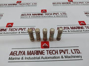 Lot of 16X Capelin 10.3 X 38 Cartridge Fuse AM 0.25A ~500A AC 100 KA NF.C
