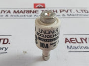 Lot of 19X Lindner 10A 500V Bottle Fuse Link GL