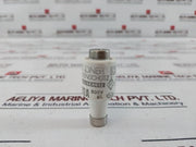 Lot of 19X Lindner 20A 500V GL Ceramic Bottle Fuse
