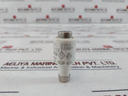 Lot of 19X Lindner 20A 500V GL Ceramic Bottle Fuse