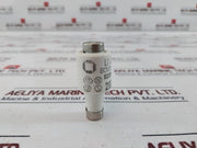 Lot of 19X Lindner 20A 500V GL Ceramic Bottle Fuse