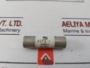 Lot of 2X FUJI ELECTRIC FCF2-1 Low Temperature Fuse 500 VAC 125 VDC Limiter