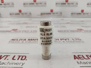 Lot of 3X DELIXI RL6 Fuse 20A 500V