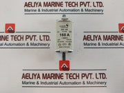 Lot of 3X M.schneider 370096 Eurofuse 160a ac500v