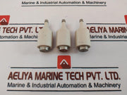 Lot of 3X SIEMENS 4A 500V Original-Diazed Melting Inserts Bottle Fuse