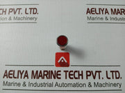 Lot Of 4X Star Y6690 Pilot Light 250V 1/8W