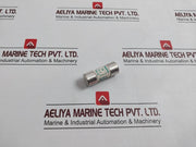 Lot of 5X LEGRAND 151 50 Cartridge Fuse 500V 50 AMP