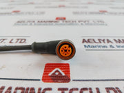 Lumberg Automation Rkwt 4-225/5M Sensor-actuator Patch Cord
