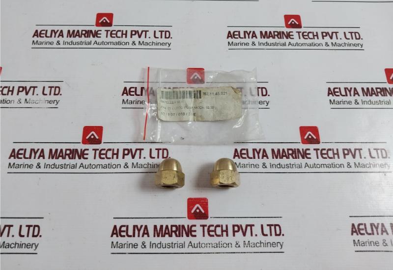 Lyco 21 Impeller Nut For Pump Model 32/20  Brass Shockers Dome