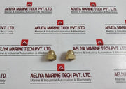 Lyco 21 Impeller Nut For Pump Model 32/20  Brass Shockers Dome