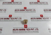 Lyco 21 Impeller Nut For Pump Model 32/20  Brass Shockers Dome
