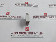 M.Schneider Nh-00 Fuse Link 500V/100A