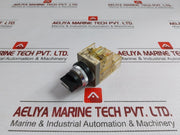Maruyasu Dengyo Selector Switch