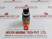 Maruyasu Dengyo Selector Switch