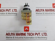 Maruyasu Dengyo Selector Switch