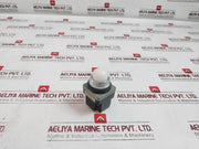 Maruyasu Electric Pl-100W-c Led Pilot Light 100/110V 18V 2W