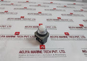 Maruyasu Electric Pl-100W-c Led Pilot Light 100/110V 18V 2W
