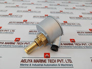Mertik 653.52 Temperature Regulator Ip55