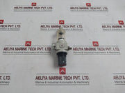 Metal Work 0-2 Bar Pneumatic Pressure Regulator