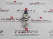 Metal Work 0-2 Bar Pneumatic Pressure Regulator