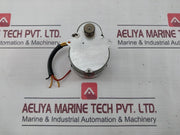 Micro-electric Ms2S Synchronmotor 220V/50-60Hz