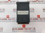 Microtronics Pt-100 Safety Controller
