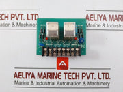 Module Board 2pfm Relay Output: 24v 110v