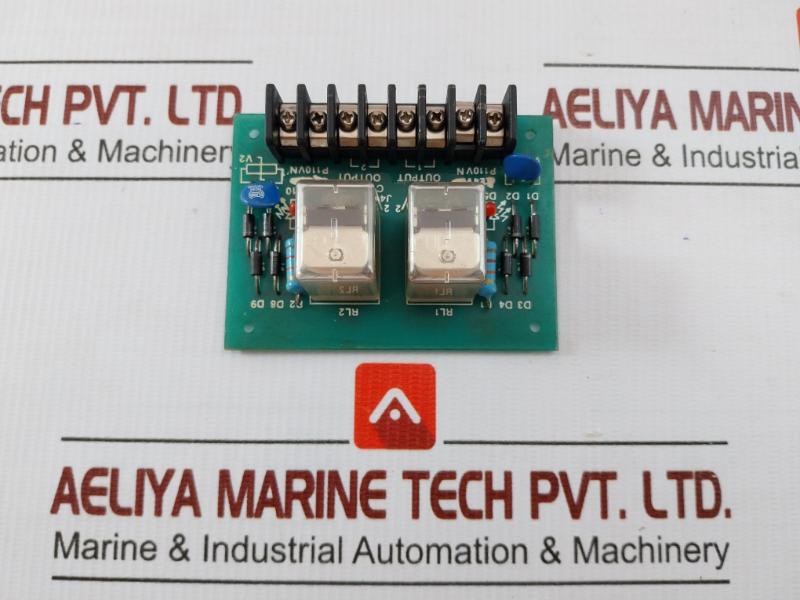 Module Board 2pfm Relay Output: 24v 110v